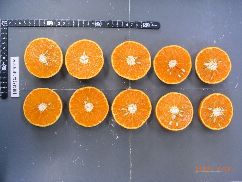 果实 (MAFF, Japan)