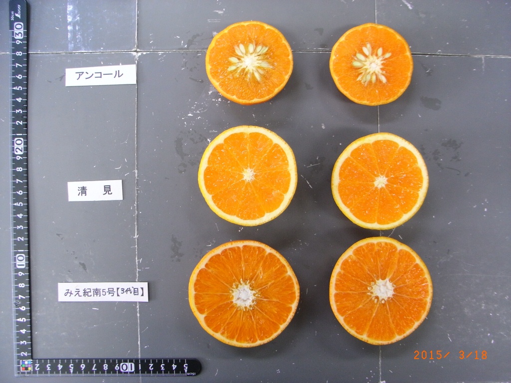 果实 (MAFF, Japan)