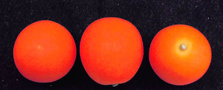 果实 (MAFF, Japan)