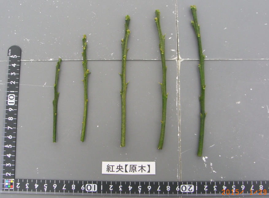 果实 (MAFF, Japan)