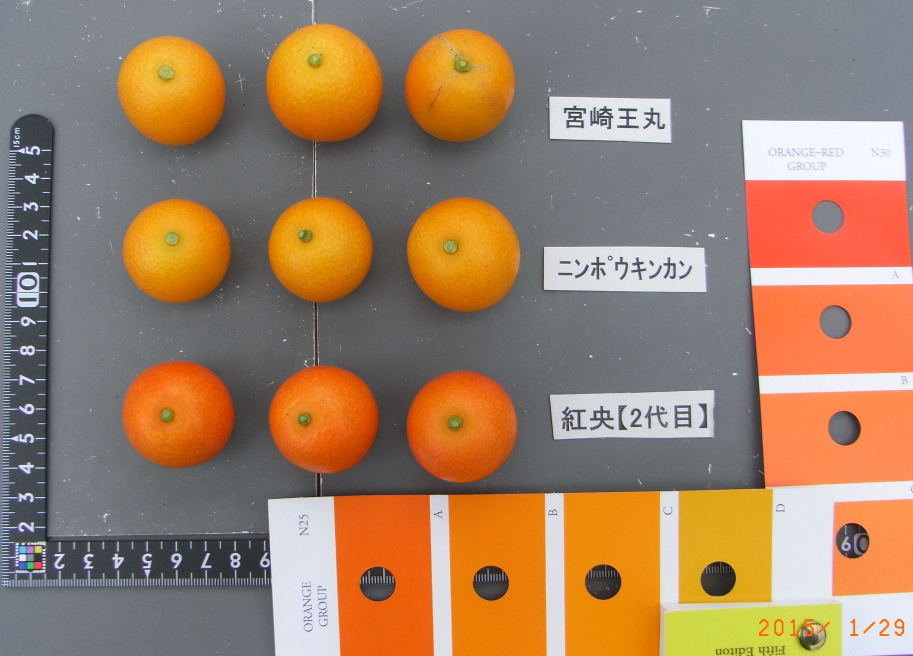 果实 (MAFF, Japan)