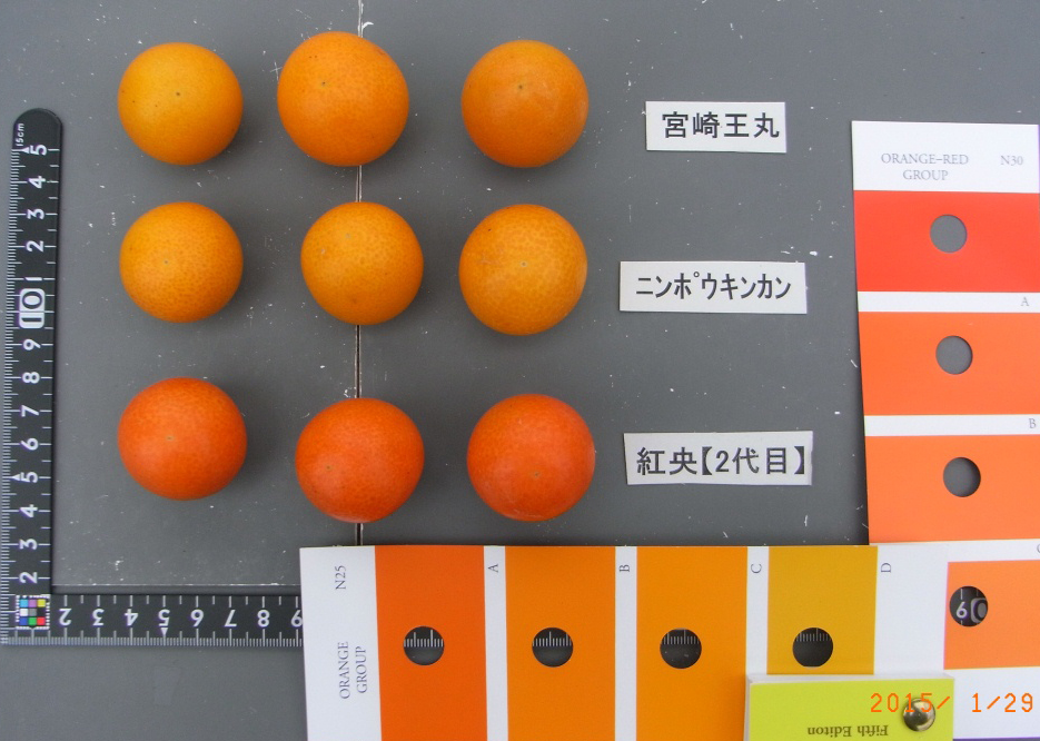 果实 (MAFF, Japan)