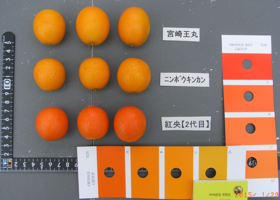 果实 (MAFF, Japan)