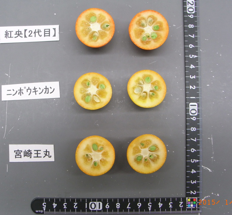 果实 (MAFF, Japan)