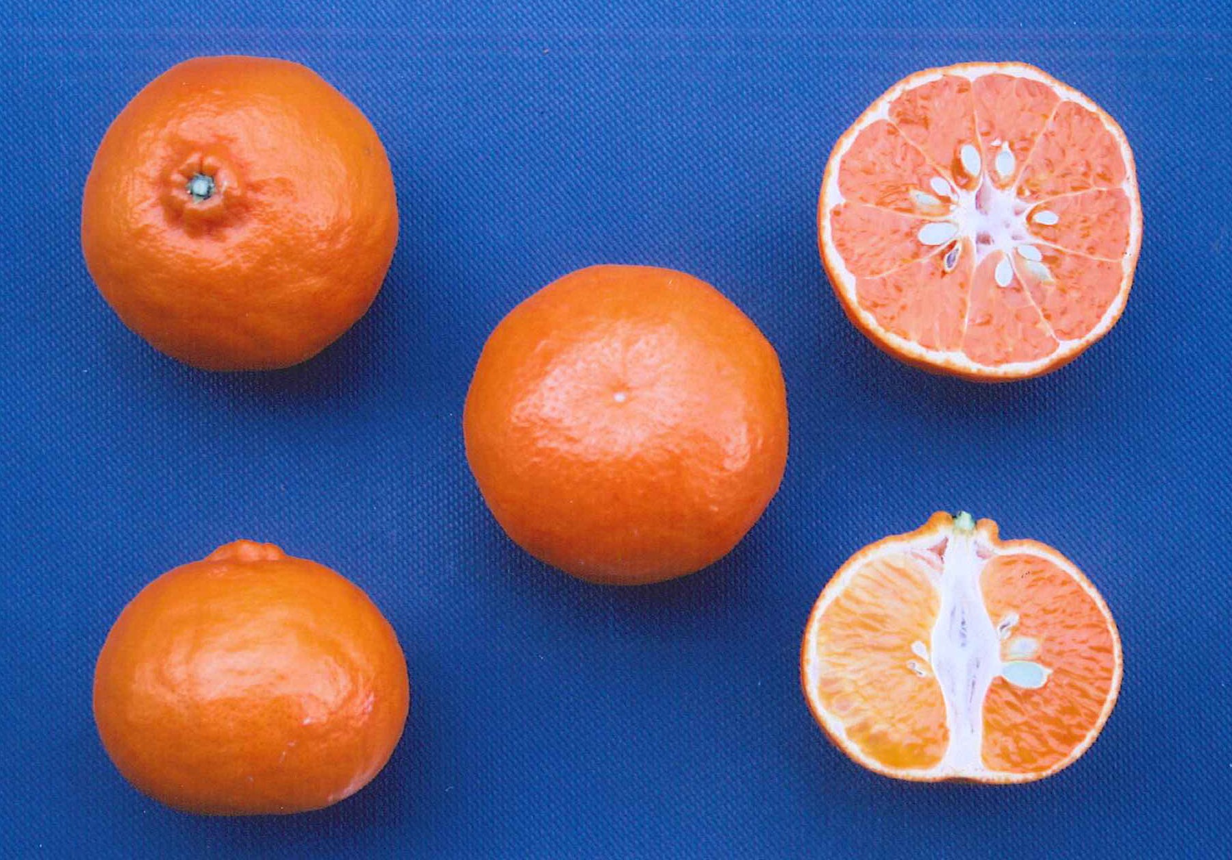 果实 (MAFF, Japan)