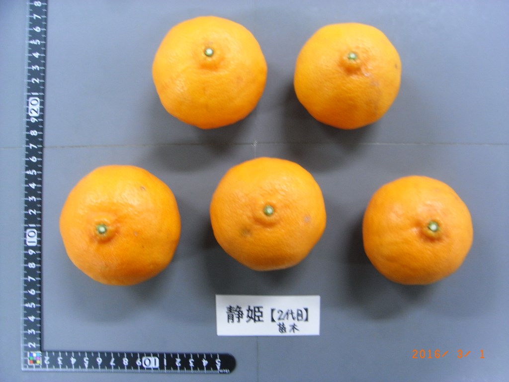 果实 (MAFF, Japan)