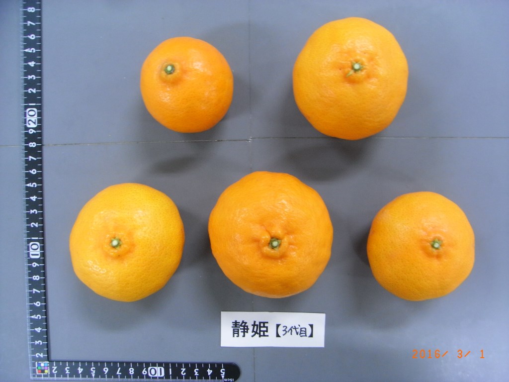 果实 (MAFF, Japan)