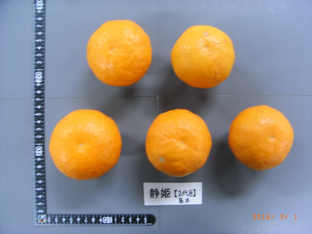 果实 (MAFF, Japan)