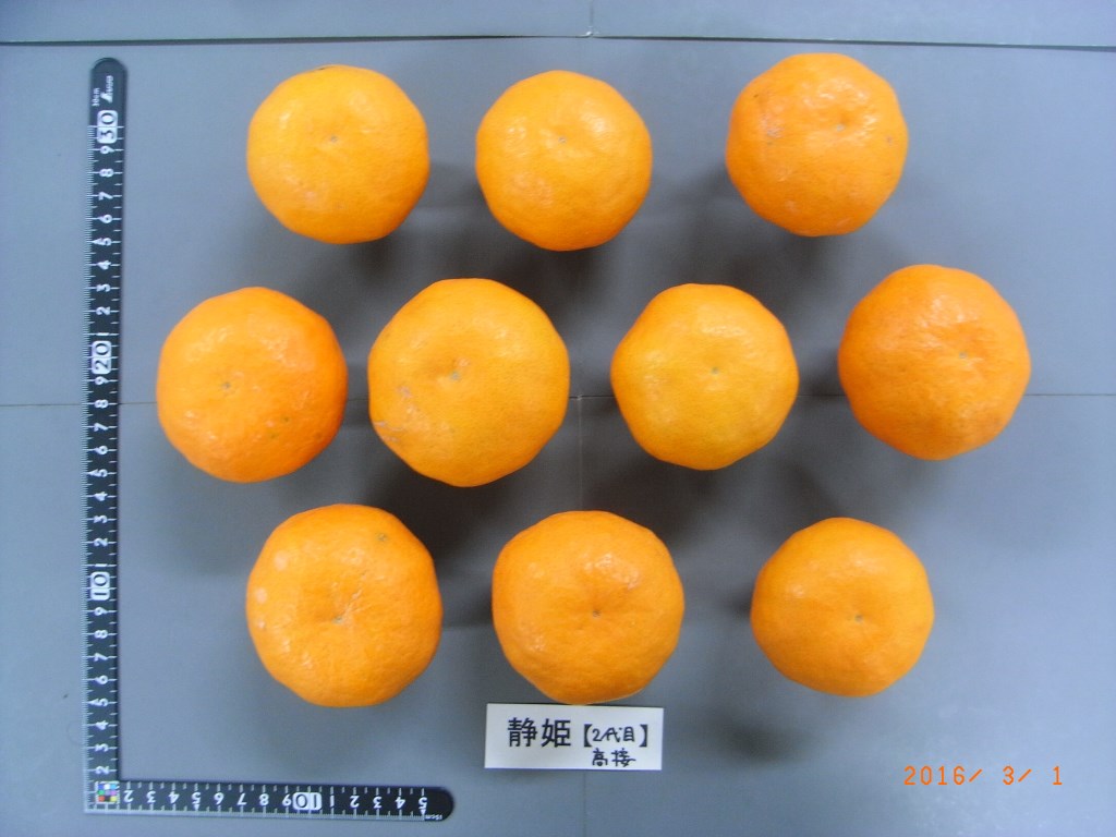 果实 (MAFF, Japan)