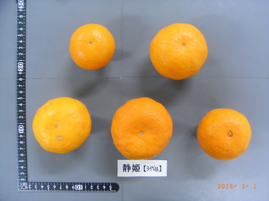 果实 (MAFF, Japan)