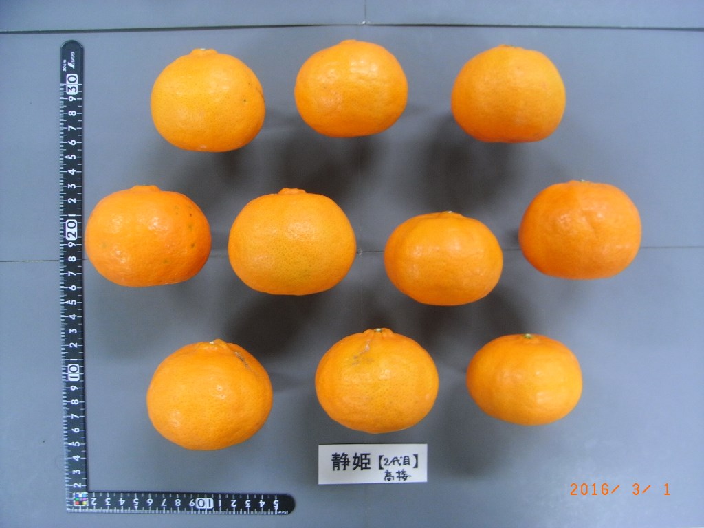 果实 (MAFF, Japan)