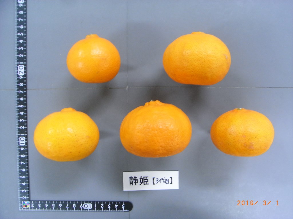 果实 (MAFF, Japan)