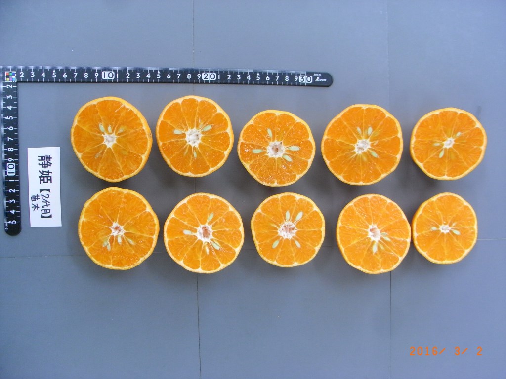 果实 (MAFF, Japan)