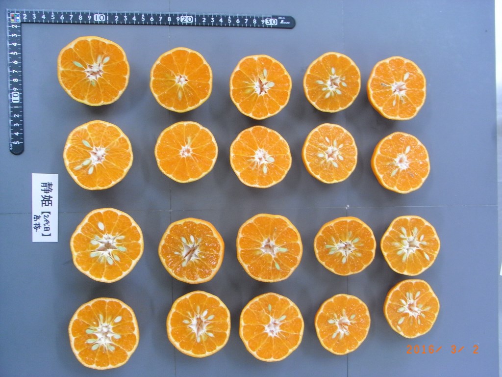 果实 (MAFF, Japan)