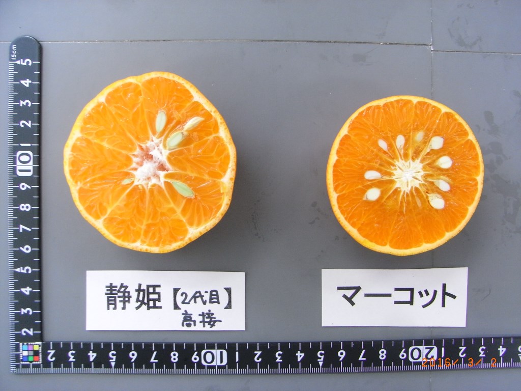 果实 (MAFF, Japan)