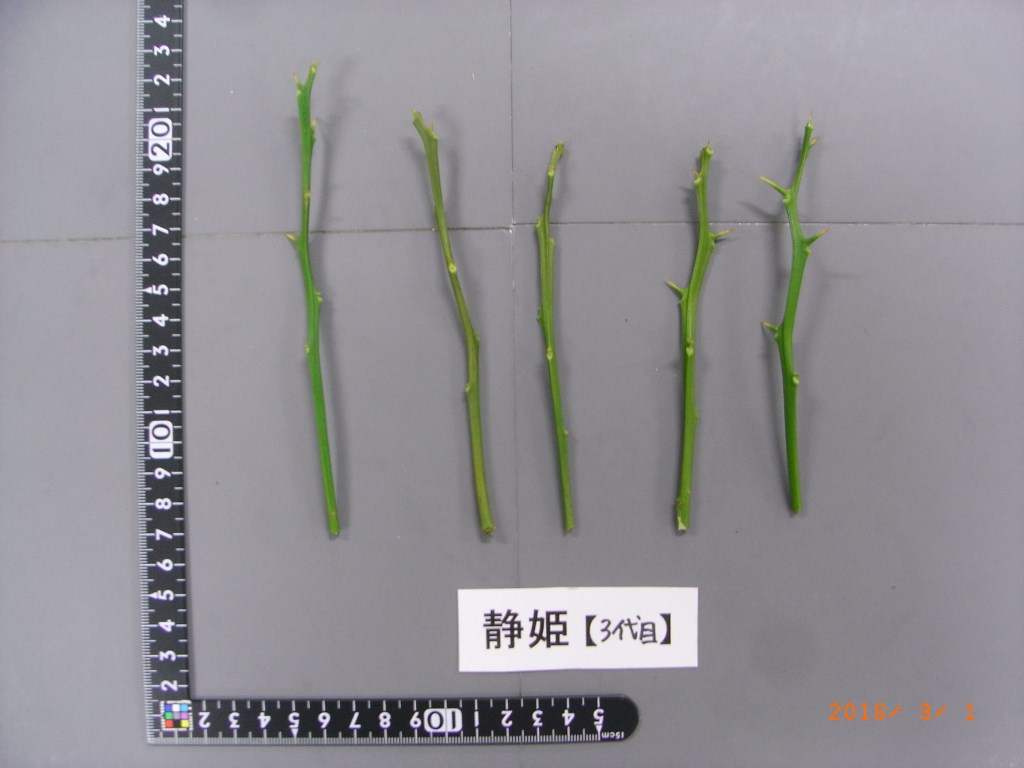 果实 (MAFF, Japan)