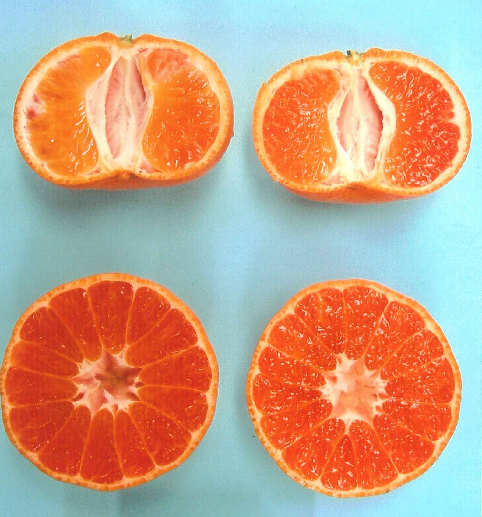 果实 (MAFF, Japan)