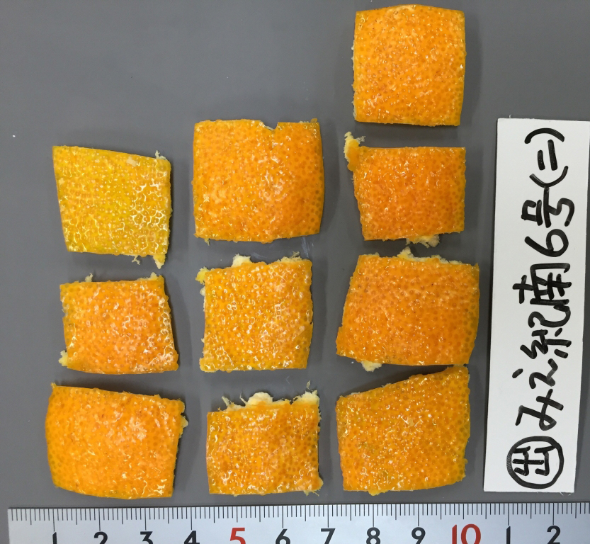 果实 (MAFF, Japan)