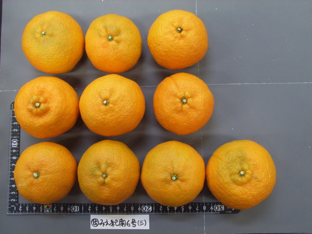 果实 (MAFF, Japan)