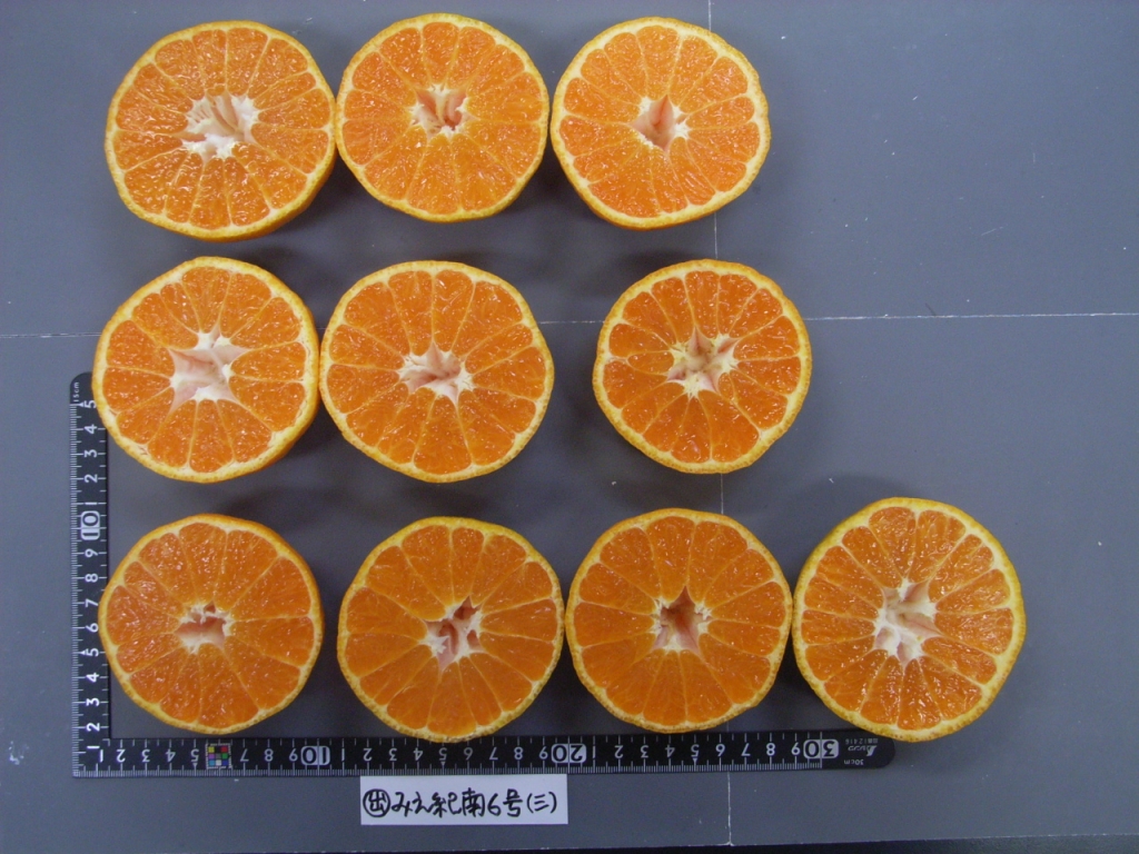 果实 (MAFF, Japan)