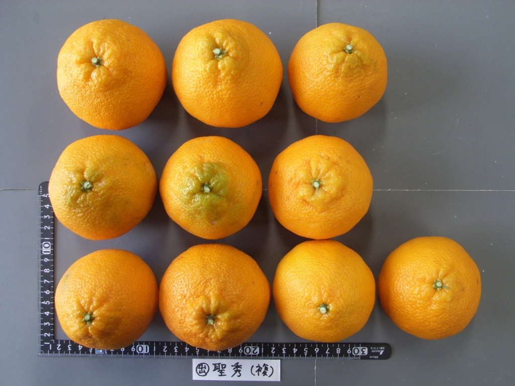 果实 (MAFF, Japan)