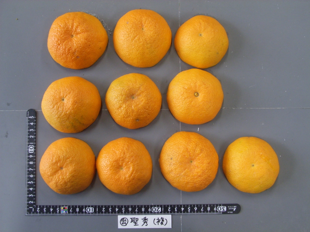 果实 (MAFF, Japan)