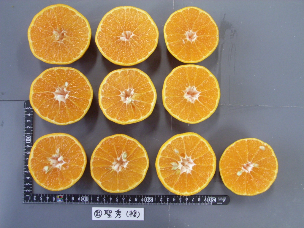 果实 (MAFF, Japan)