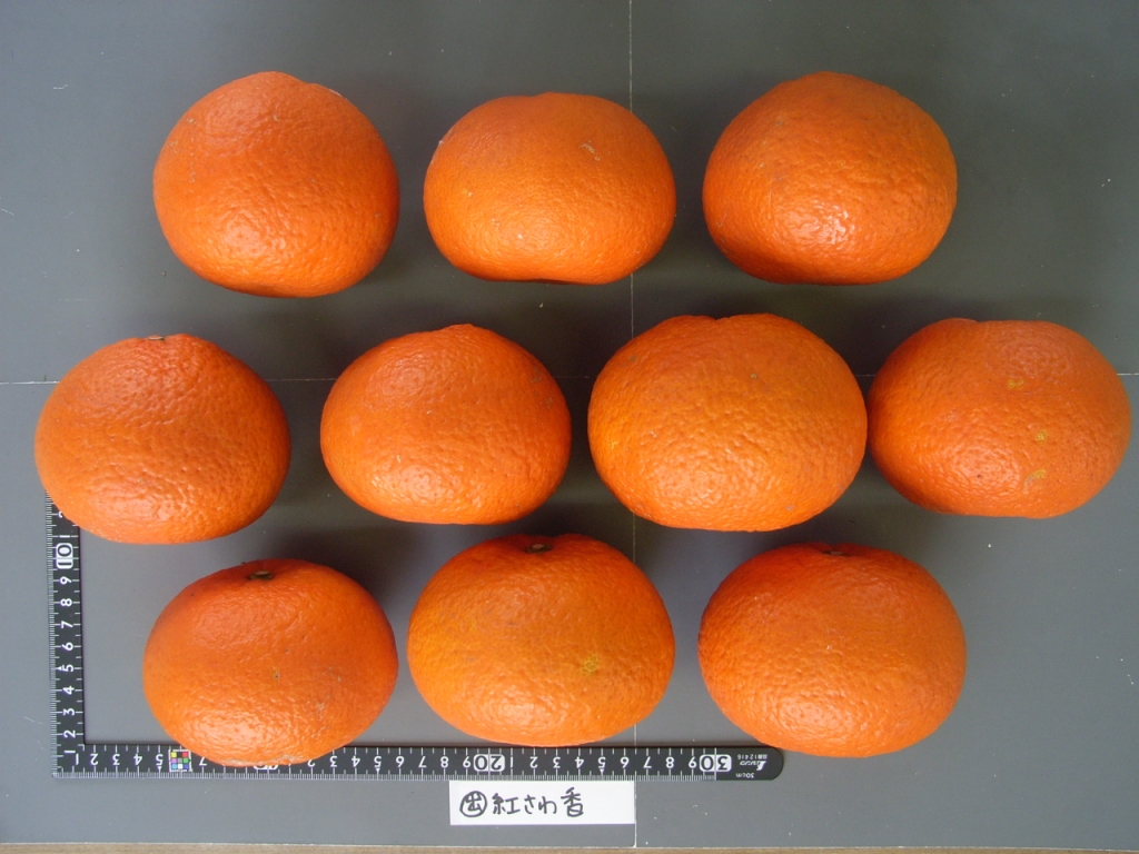 果实 (MAFF, Japan)