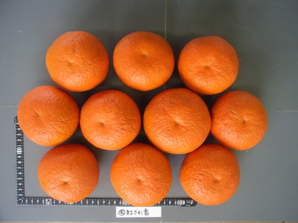 果实 (MAFF, Japan)