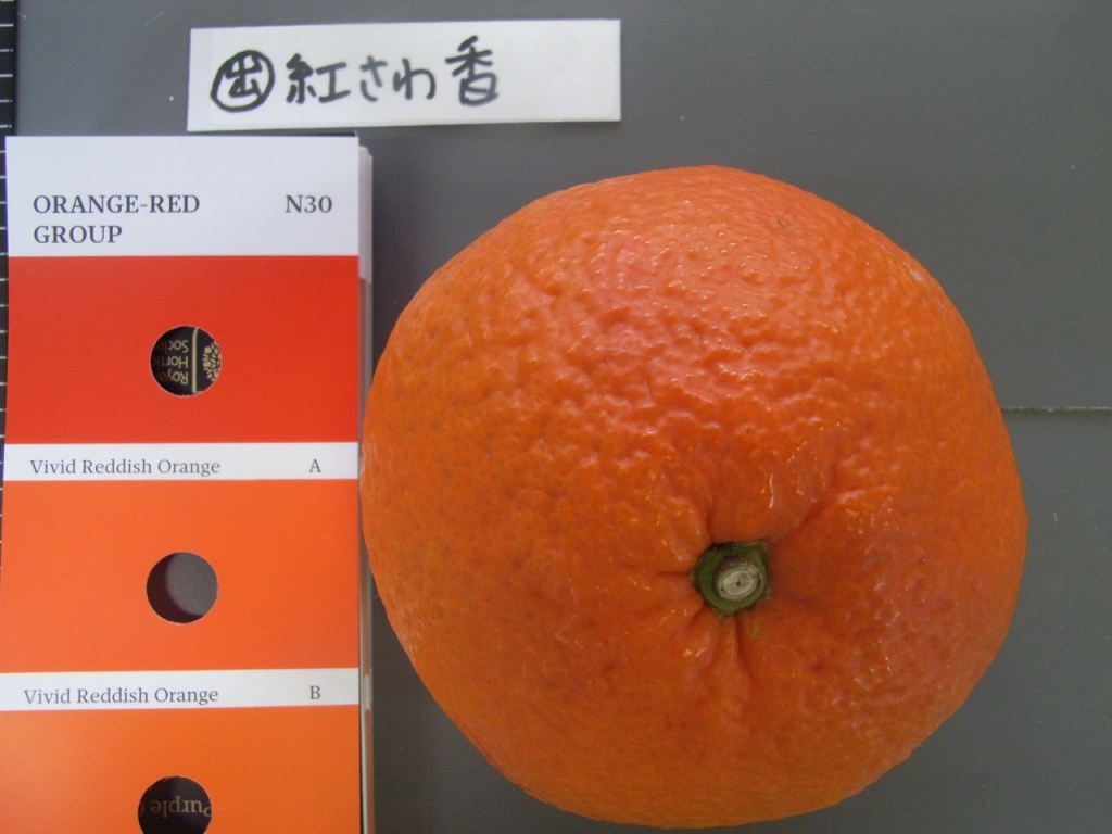 树体 (MAFF, Japan)