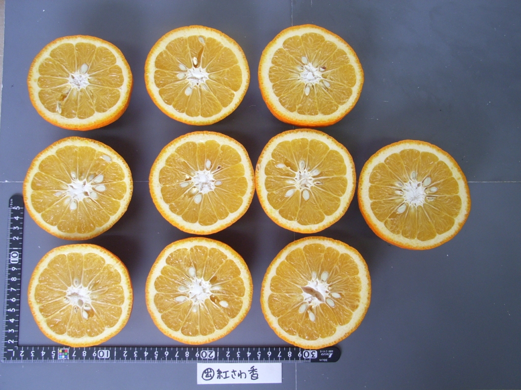 果实 (MAFF, Japan)