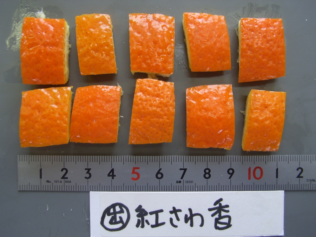 果实 (MAFF, Japan)