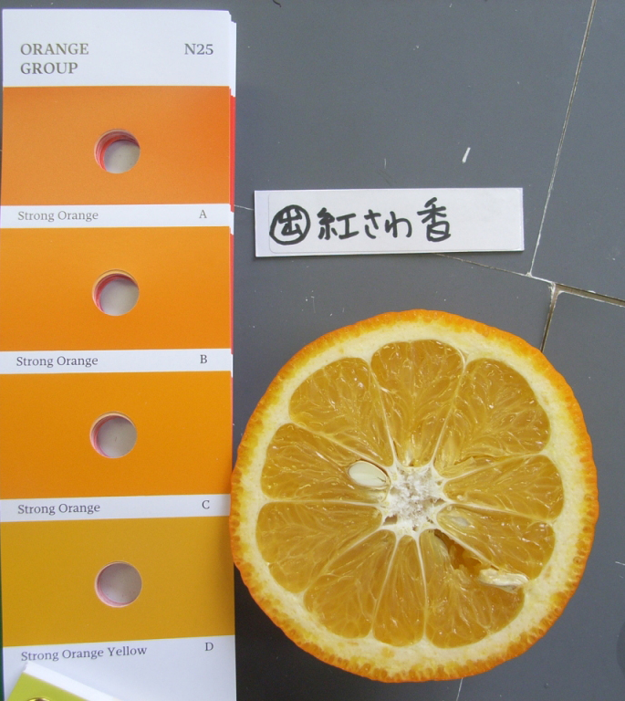 树体 (MAFF, Japan)