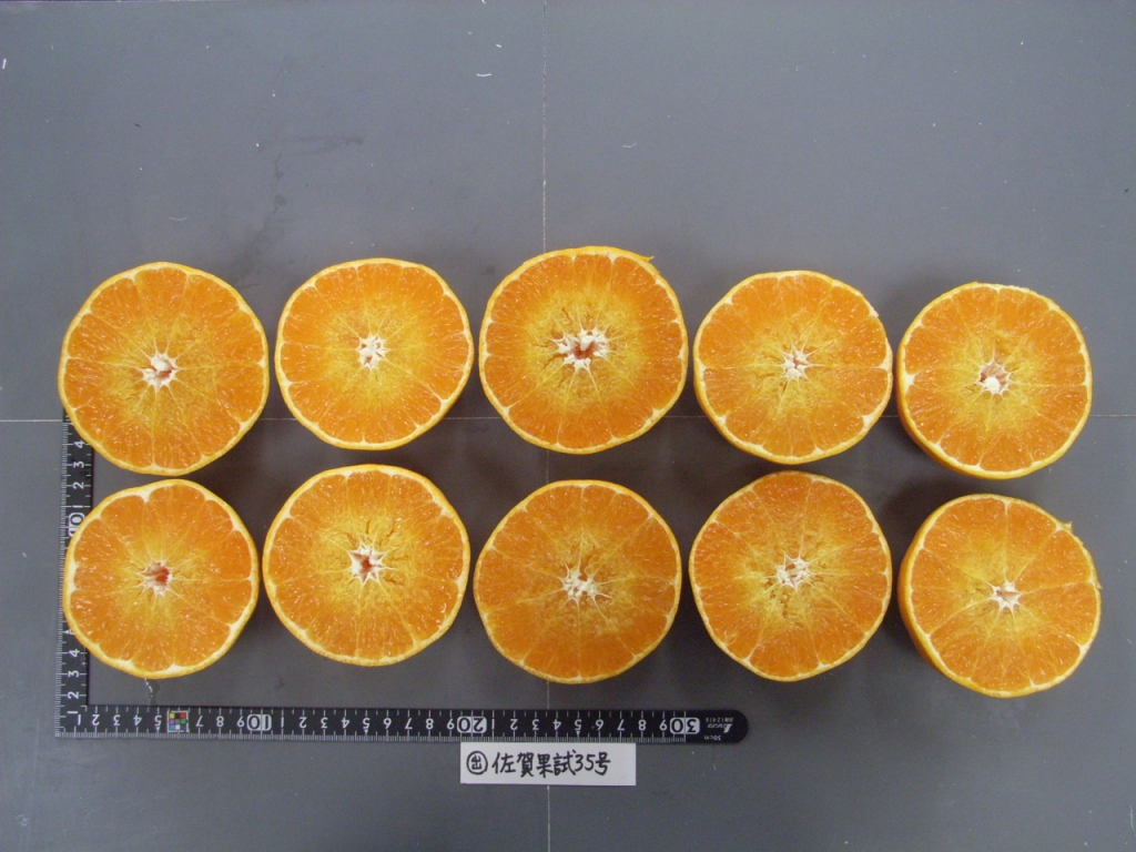 果实 (MAFF, Japan)