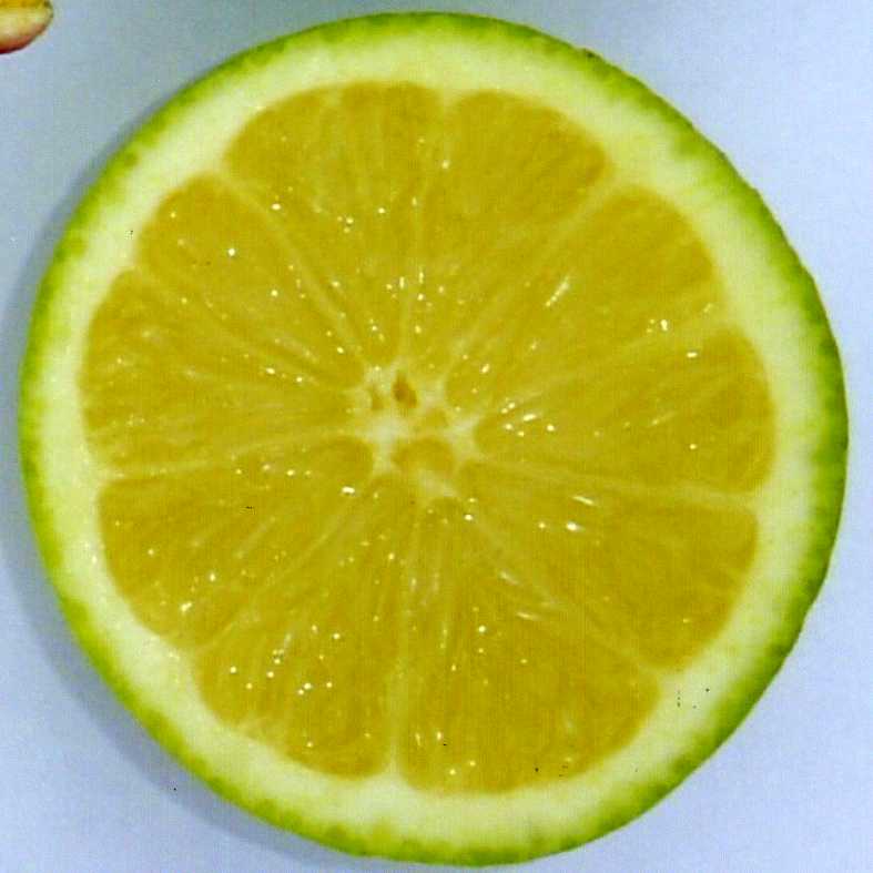 果实 (MAFF, Japan)