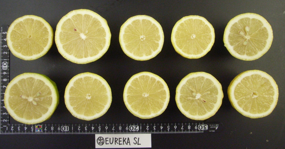 果实 (MAFF, Japan)