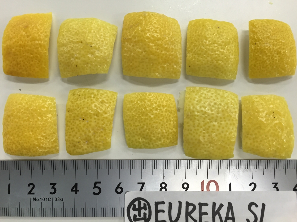 树体 (MAFF, Japan)