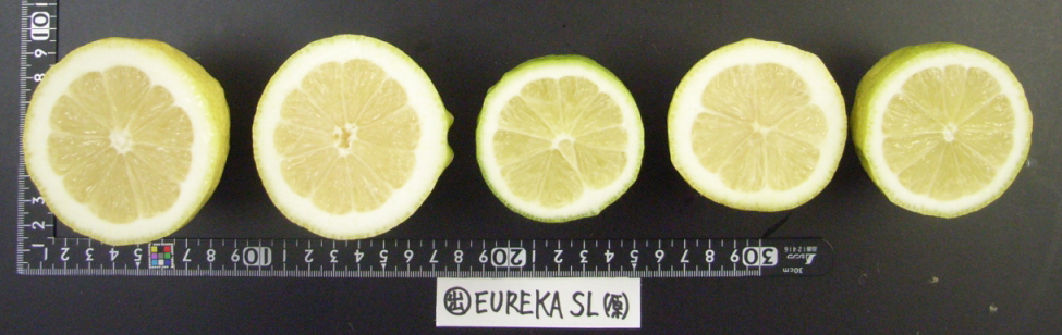 果实 (MAFF, Japan)