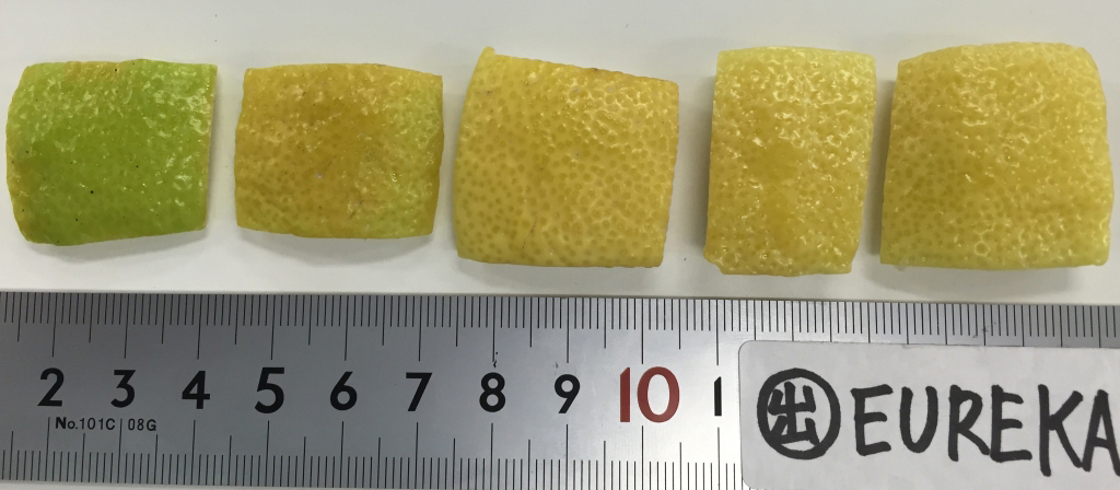 果实 (MAFF, Japan)