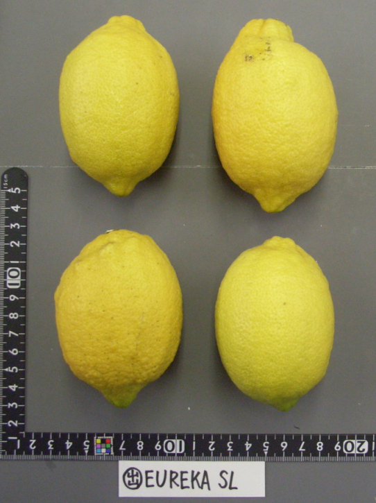 果实 (MAFF, Japan)