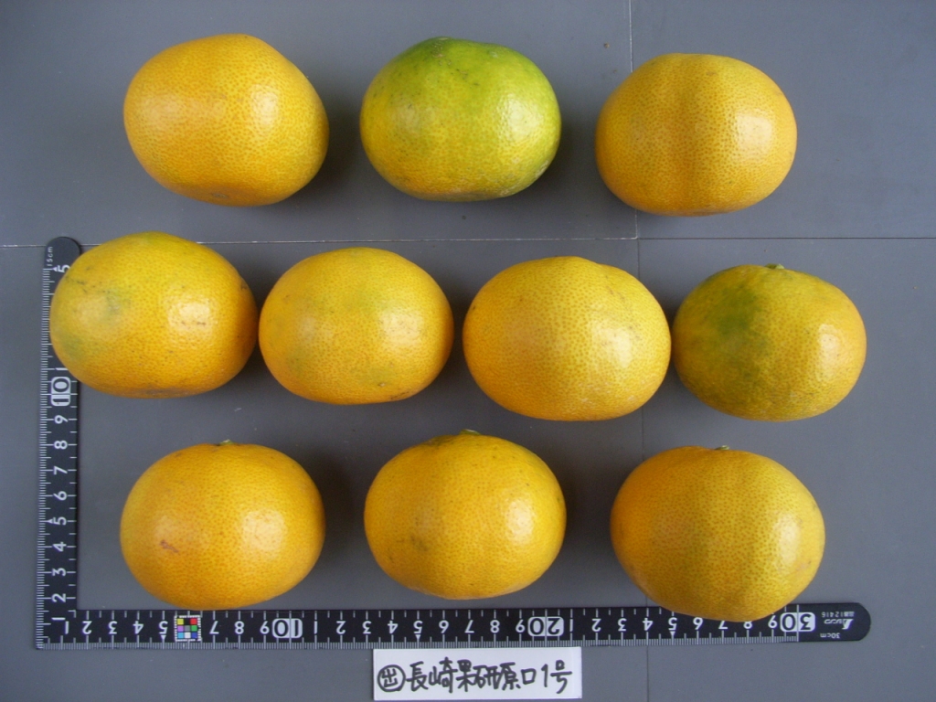 果实 (MAFF, Japan)