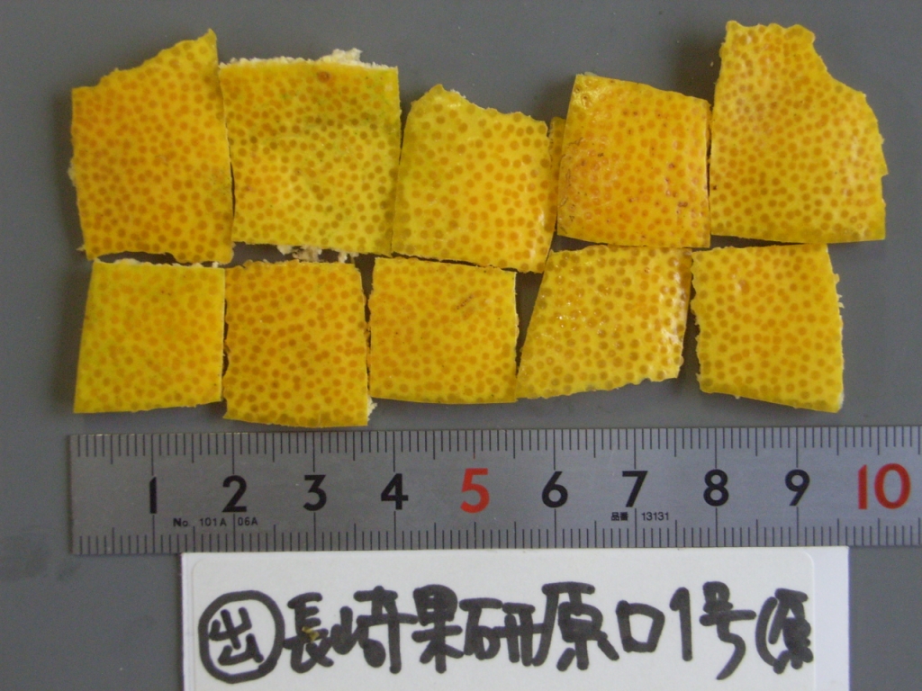 树体 (MAFF, Japan)