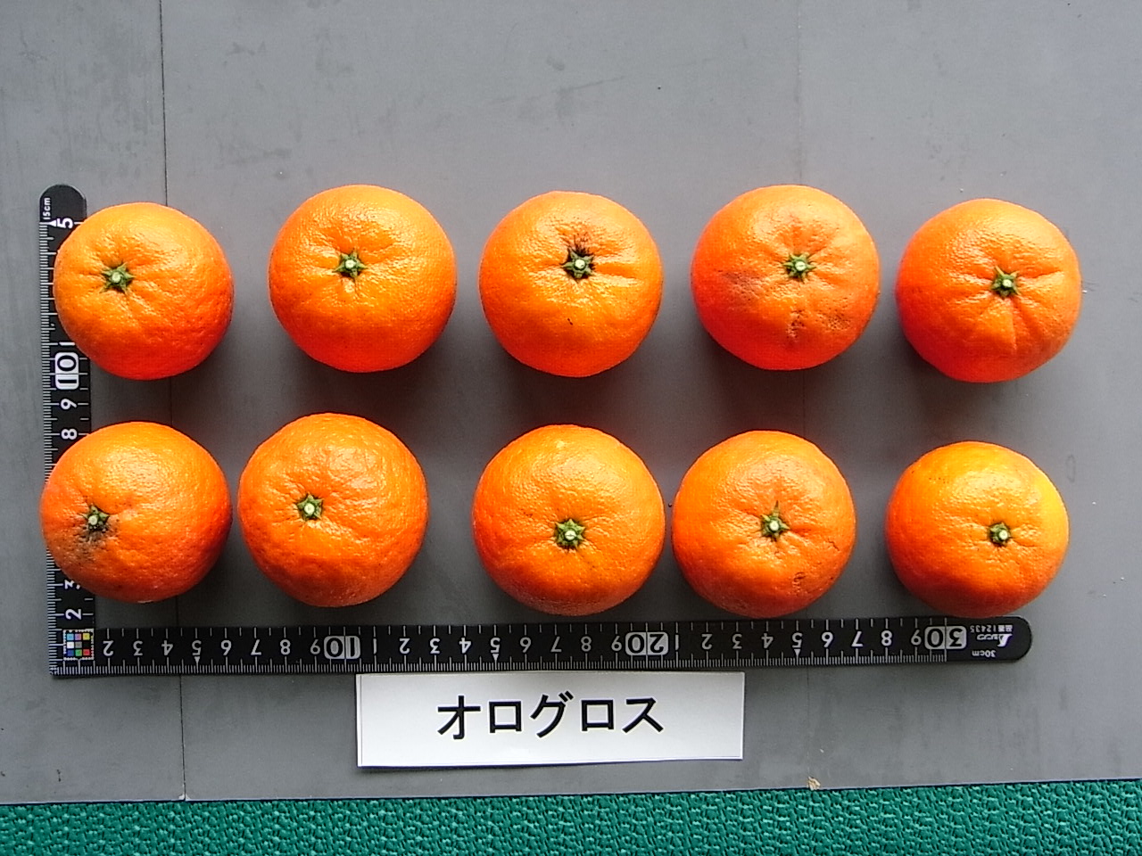 果实 (MAFF, Japan)