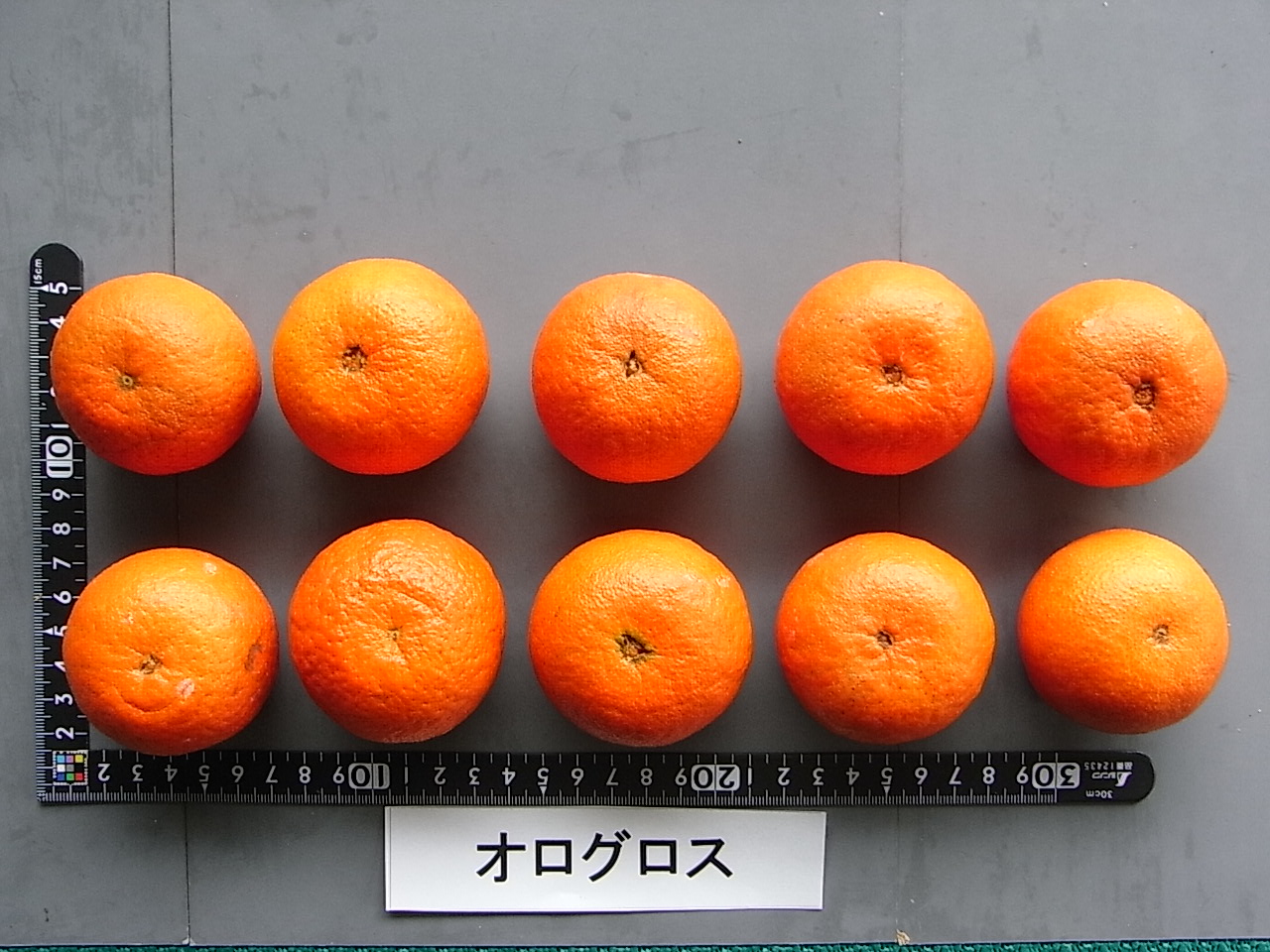 果实 (MAFF, Japan)