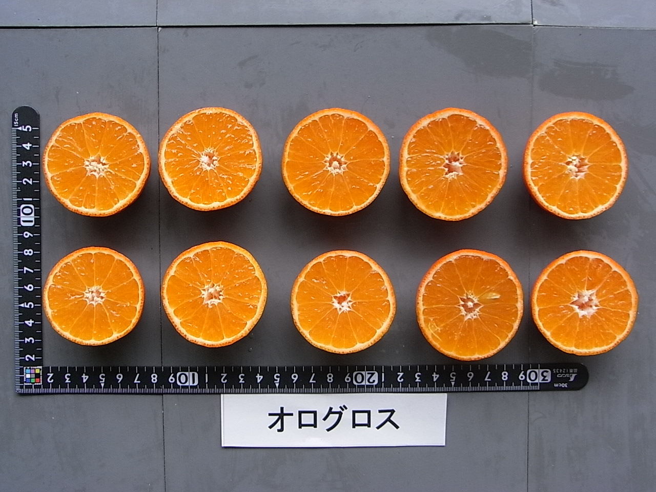 果实 (MAFF, Japan)