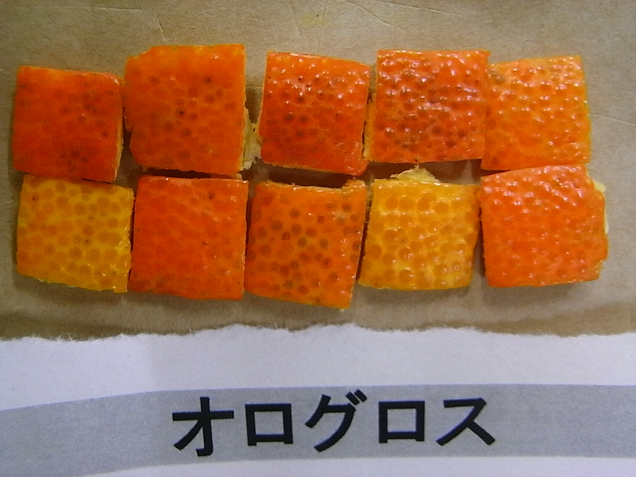 果实 (MAFF, Japan)