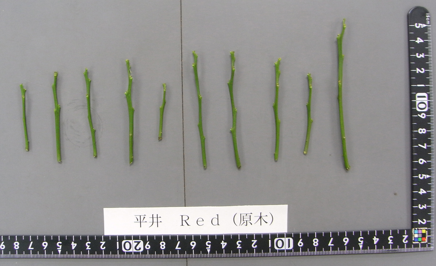 果实 (MAFF, Japan)