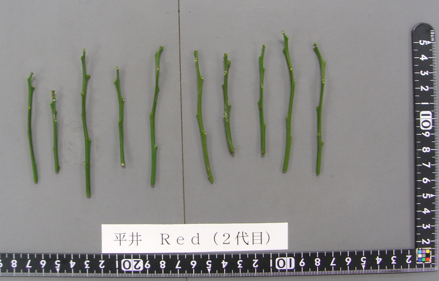 果实 (MAFF, Japan)