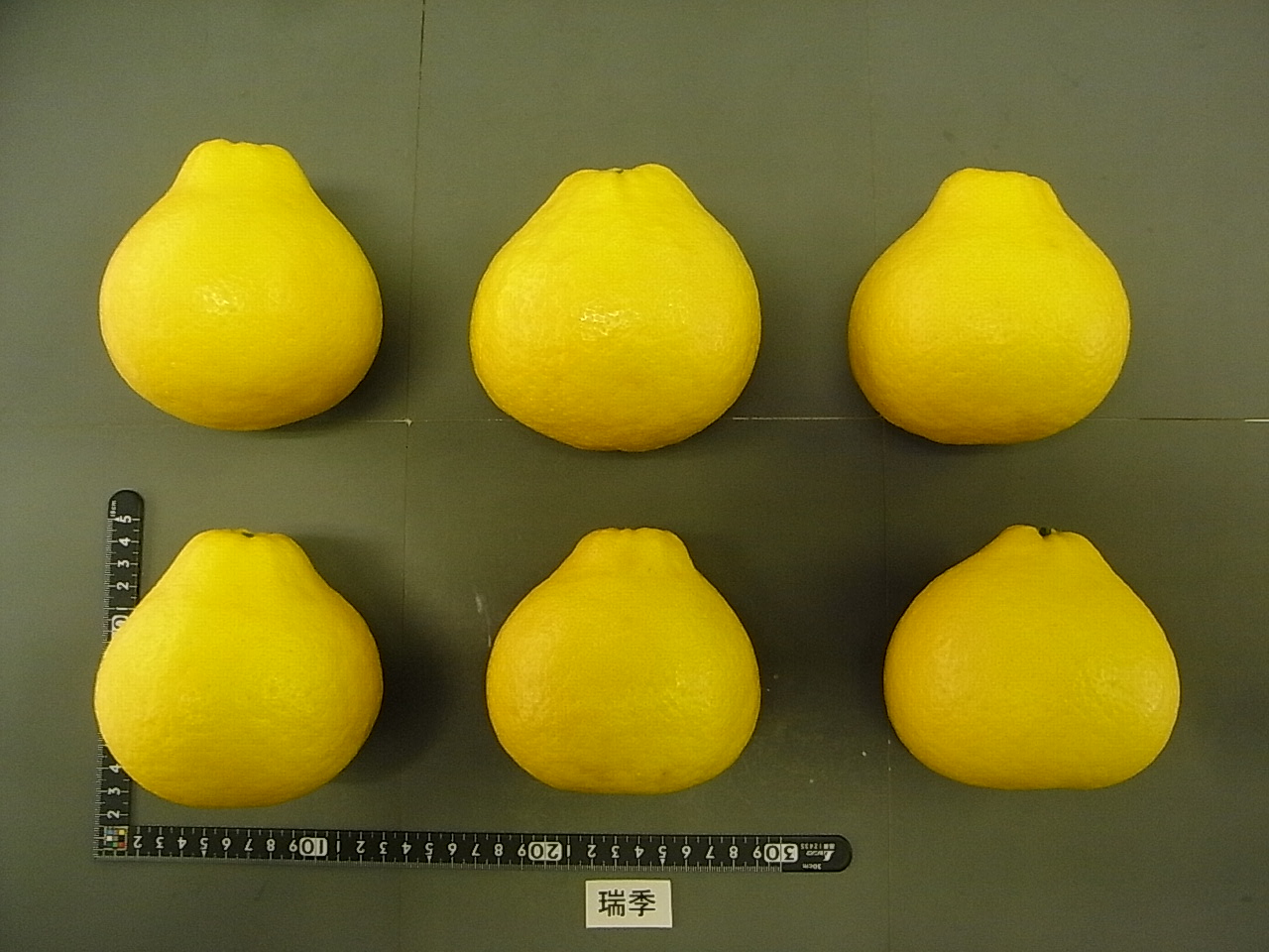 果实 (MAFF, Japan)