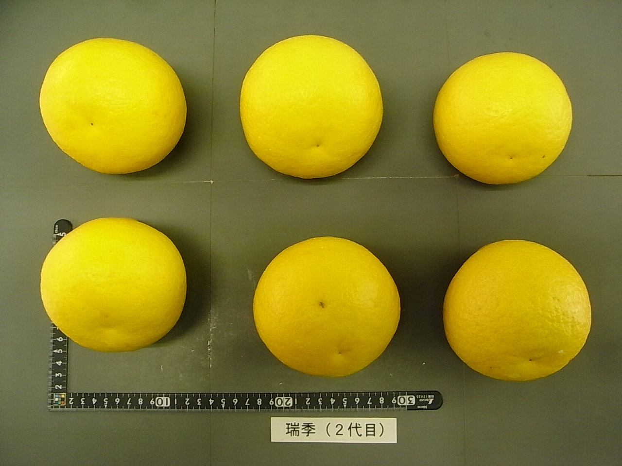 果实 (MAFF, Japan)